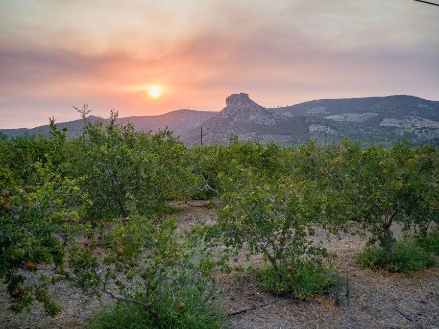 ΘΕΡΜΗΣΙΑ(el.wikipedia.org)